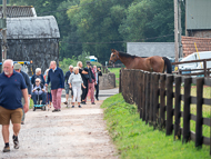 PH020922-51 - Philip Hobbs Stable Visit